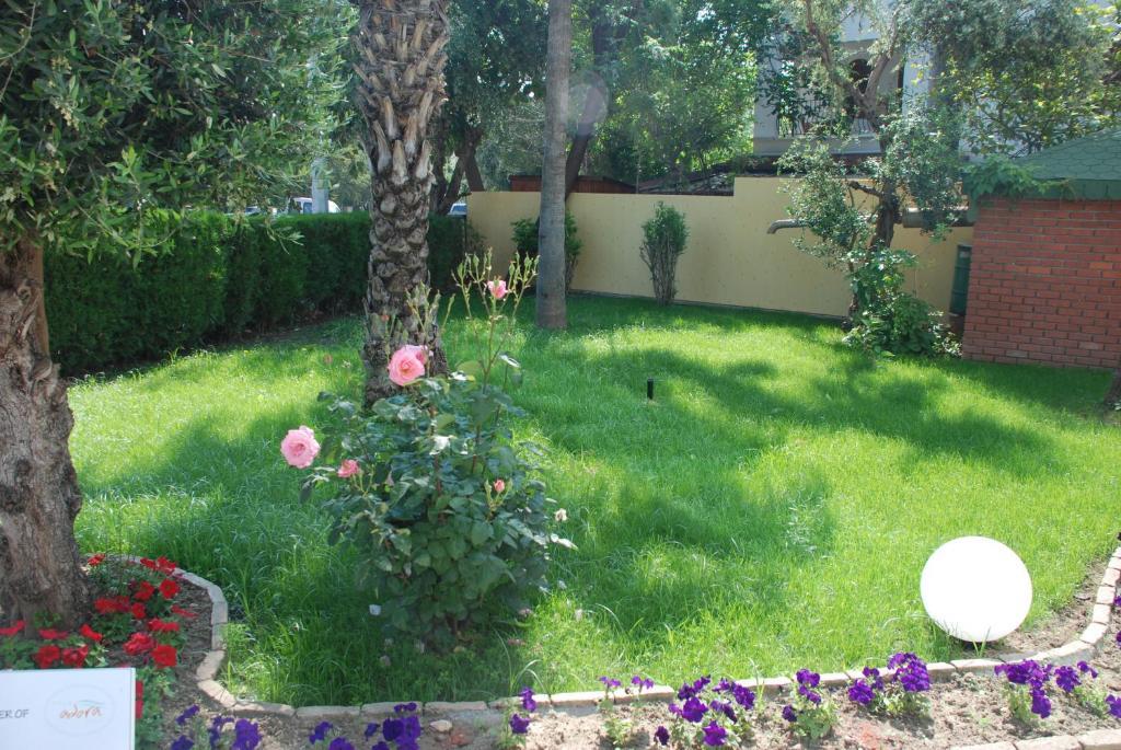 Villa Adora Beach Side Kültér fotó
